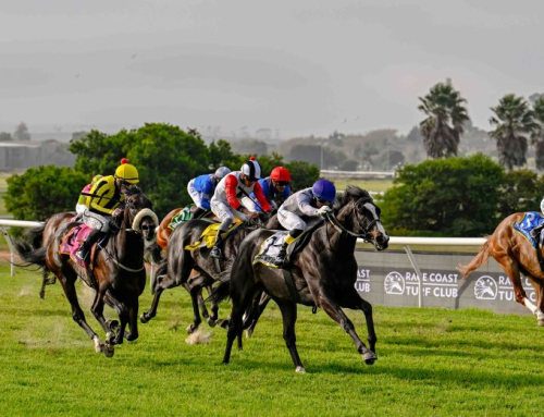 BASS RUNNERS – DURBANVILLE, MATCHEM STAKES DAY, 27 SEP