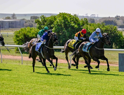 BASS RUNNERS – DURBANVILLE, SUNDAY 7 SEPTEMBER
