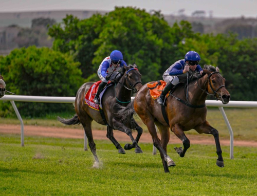 BASS RUNNERS – DURBANVILLE, TUESDAY 9 SEPTEMBER