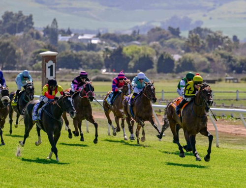 BASS RUNNERS – DURBANVILLE, WEDNESDAY 3 SEPTEMBER